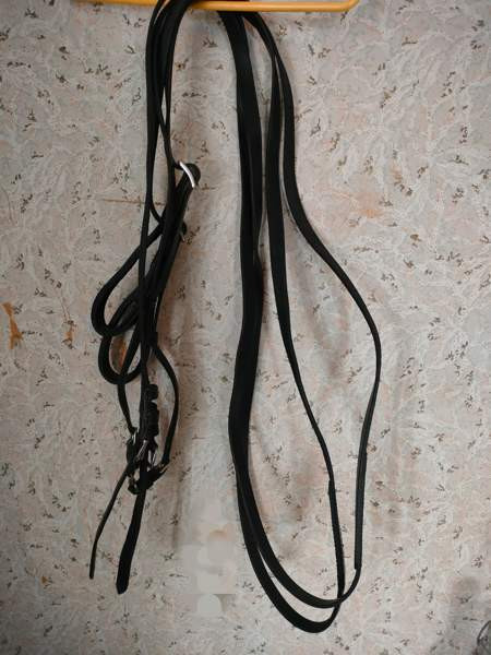 Ponin ajo-ohjat Kemiönsaari - изображение 1