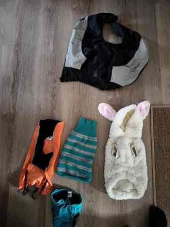 Koiran hoitotarvikkeita, leluja, hihnoja jne Kerava