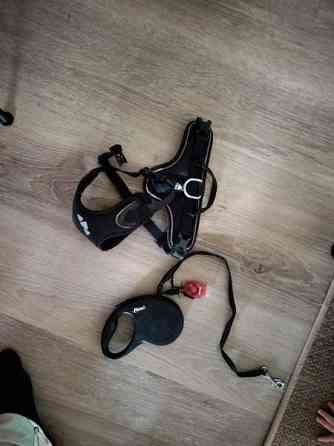 Koiran hoitotarvikkeita, leluja, hihnoja jne Kerava