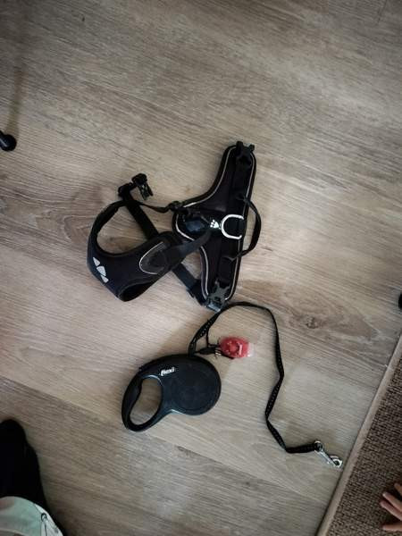 Koiran hoitotarvikkeita, leluja, hihnoja jne Kerava - photo 3