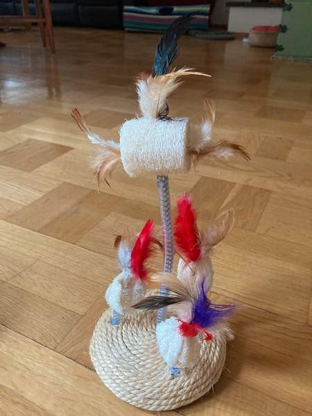 Kissan leluja Turku - valokuva 1