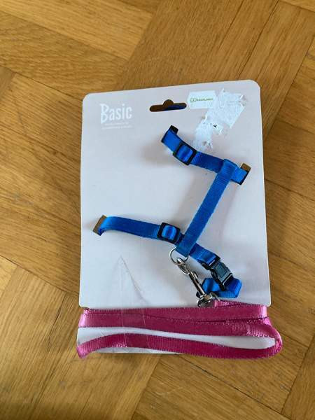 Kissan leluja Turku - valokuva 3