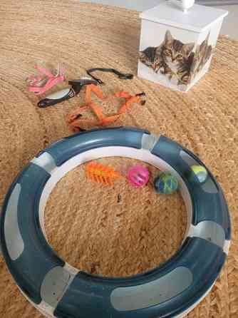 Kissan valjaita, leluja Jyvaeskylae