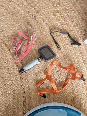 Kissan valjaita, leluja Jyvaeskylae