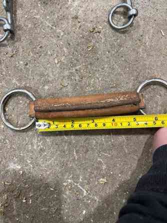 12-15cm kuolaimia Iisalmi