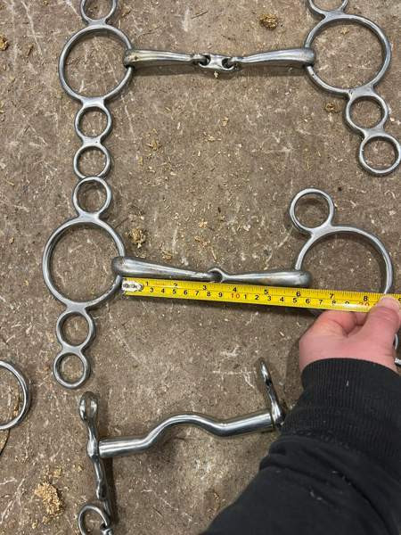 12-15cm kuolaimia Iisalmi – foto 2