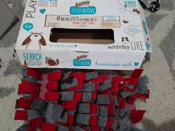 Aktivointi leluja kanille tai marsuille Espoo