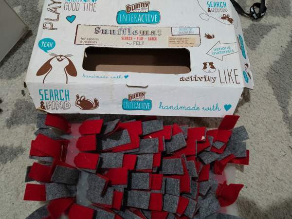 Aktivointi leluja kanille tai marsuille Espoo – foto 2