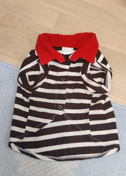 Pienen koiran paita Turku – foto 2