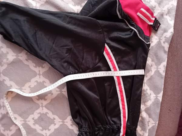 Koiran jumppapuku Kuopio – foto 2