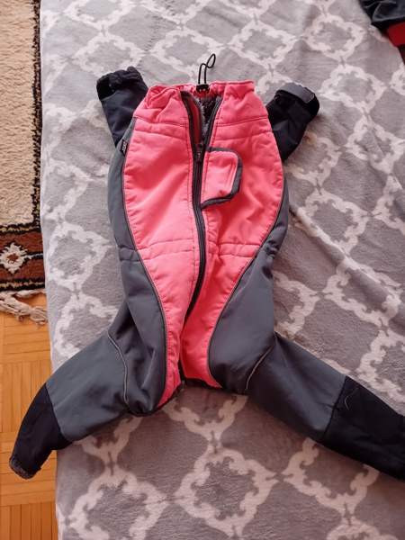 Koiran lämpöpuku Kuopio - valokuva 3