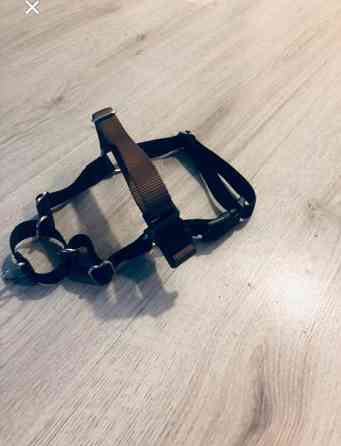 Vedonestovaljaat Helsinki