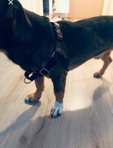 Vedonestovaljaat Helsinki – foto 1