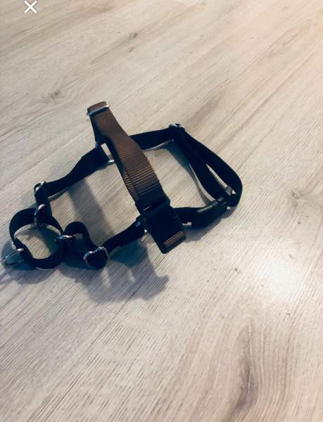 Vedonestovaljaat Helsinki – foto 3