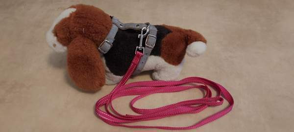 Valjaat ja hihna Helsinki - valokuva 2