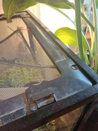 Komodo terraario Loppi