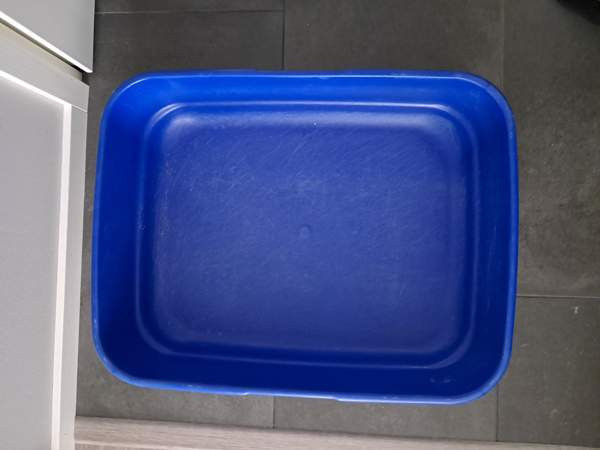 Kissan hiekkalaatikko Vantaa - valokuva 3