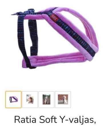 Koiran valjaat Kajaani