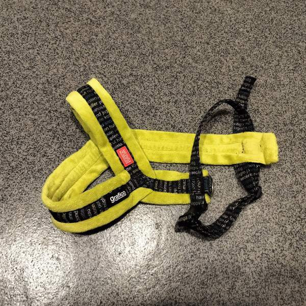 Koiran valjaat Каяни - изображение 1