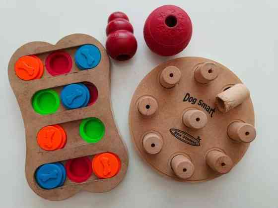 Aktivointilelupaketti pienelle koiralle Petäjävesi