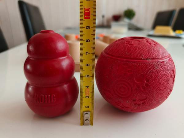 Aktivointilelupaketti pienelle koiralle Petäjävesi - valokuva 2