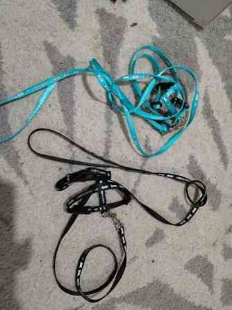 Unimaja ja unituubi marsuille Espoo