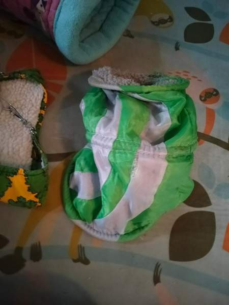 Unimaja ja unituubi marsuille Espoo – foto 4