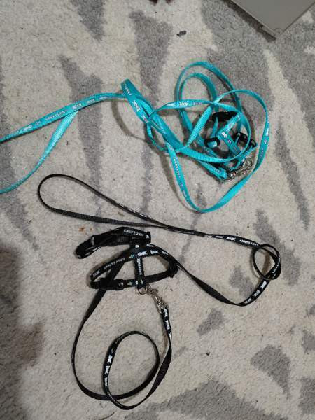 Unimaja ja unituubi marsuille Espoo – foto 5