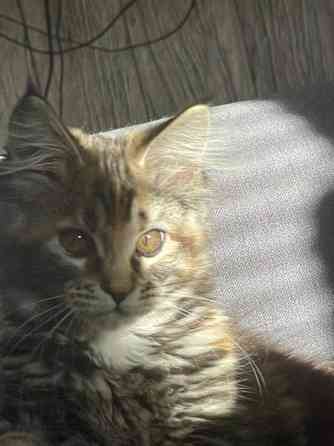 Ihana tyttö Nurmijaervi