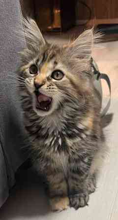 Ihana tyttö Nurmijaervi