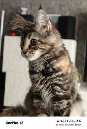 Ihana tyttö Nurmijaervi