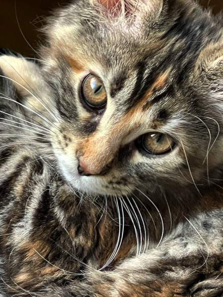 Ihana tyttö Nurmijärvi - valokuva 2