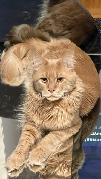 Ihana tyttö Nurmijärvi - valokuva 6