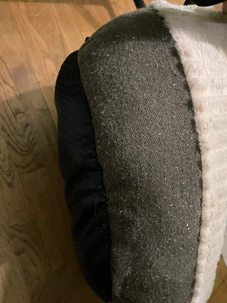 Scruffs Ellen donitsipeti Helsinki - valokuva 2