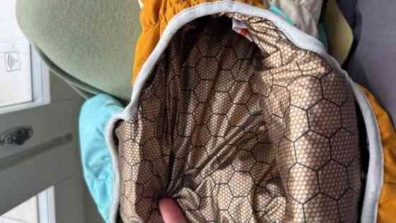 Koiran talvihaalari Helsinki