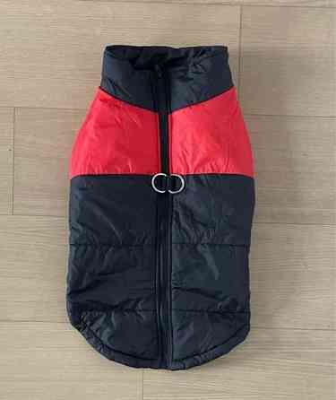 Koiran takki 52cm Helsinki