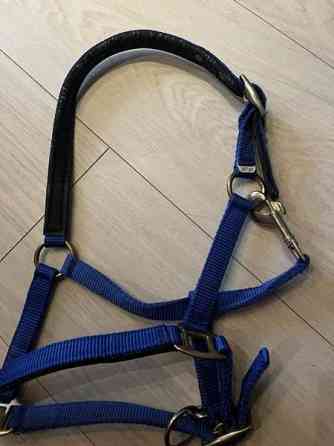 Shettis kokoinen sininen riimu Janakkala