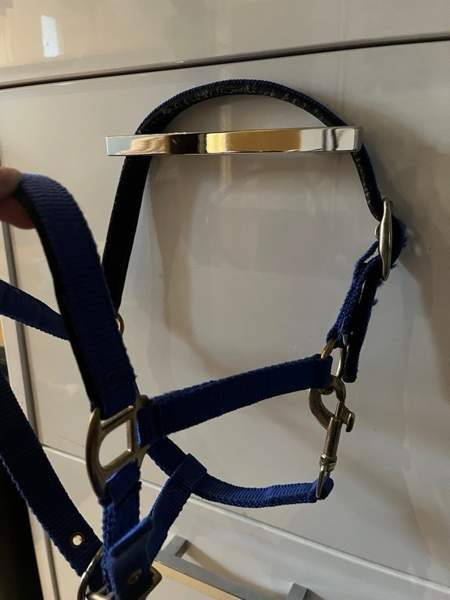 Shettis kokoinen sininen riimu Janakkala – foto 3