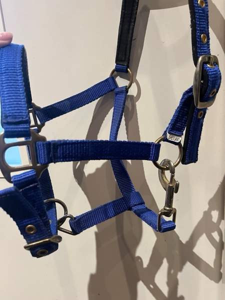 Shettis kokoinen sininen riimu Janakkala – foto 1