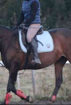 Satulahuopia Siilinjaervi