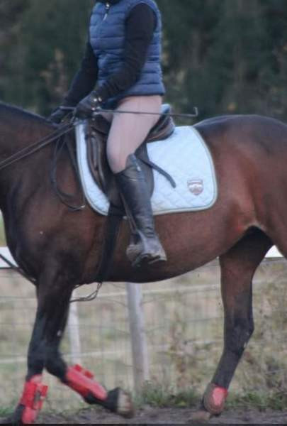 Satulahuopia Siilinjaervi - photo 1