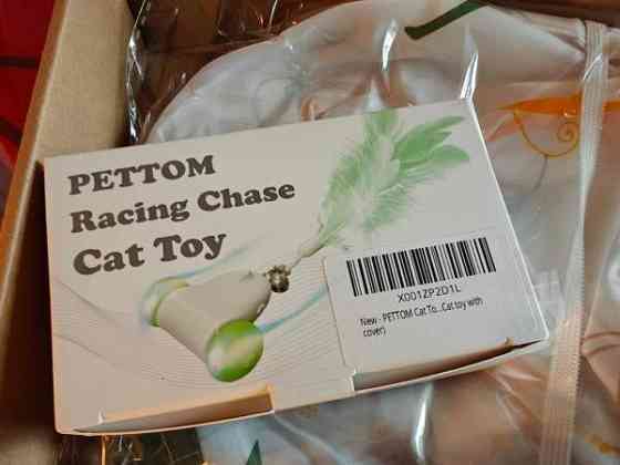 Kissan aktivointilelu Lohja