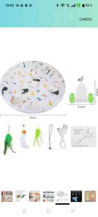 Kissan aktivointilelu Lohja