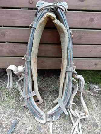 Hevosen länget Jokioinen