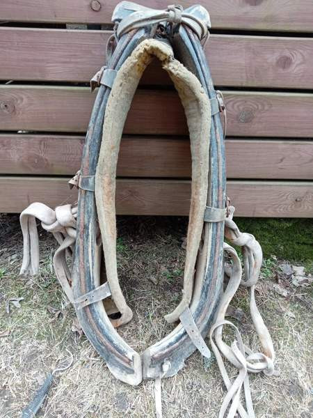 Hevosen länget Jokioinen – foto 1