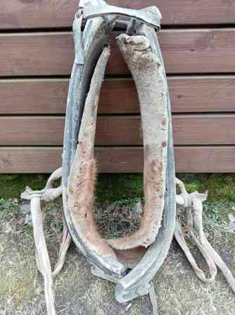 Hevosen länget Jokioinen