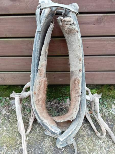 Hevosen länget Jokioinen – foto 1