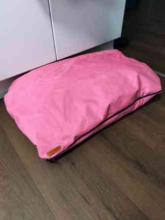 Koiranpeti Seinaejoki