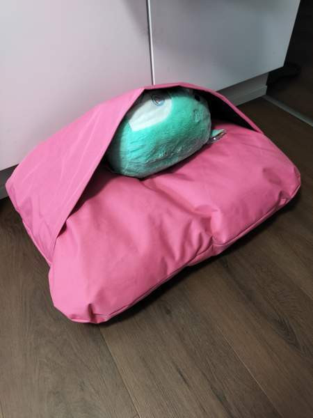 Koiranpeti Seinäjoki - valokuva 3