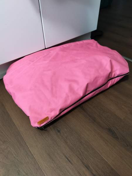 Koiranpeti Seinäjoki - valokuva 2